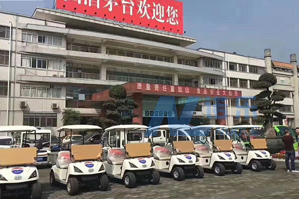 贵州茅台电动观光车合作案例(图1)