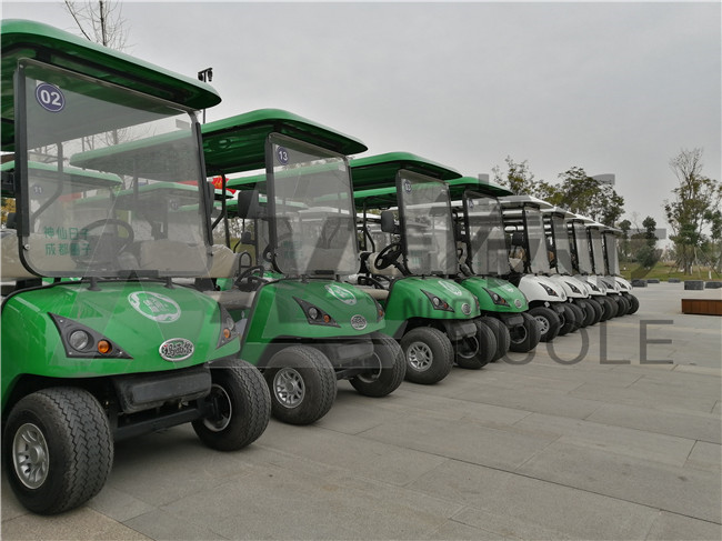 华南植物园电动观光车合作案例